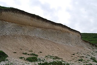 <span class="mw-page-title-main">Pedology</span> Study of soils in their natural environment