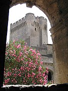 Abbaye Montmajour