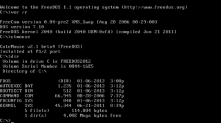 <span class="mw-page-title-main">FreeDOS</span> Open source clone of MS-DOS