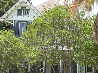 <span class="mw-page-title-main">Oliphant–Walker House</span> Historic house in Texas, United States