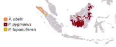 Rozšíření orangutanů na ostrovech Borneo a Sumatra