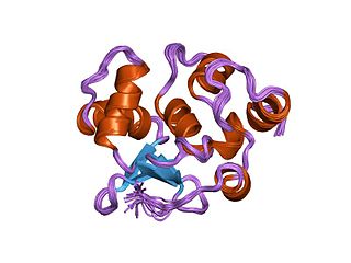 <span class="mw-page-title-main">ETS transcription factor family</span> Protein family