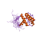 2d87: Solution structure of the CH domain from human Smoothelin splice isoform L2