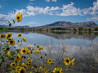 <span class="mw-page-title-main">Pahranagat Creek</span> Creek in Nevada