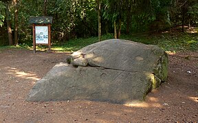 Akmuo „Puntuko brolis“