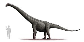 Реконструкция Rinconsaurus