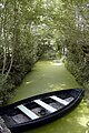 Le Marais Poitevin