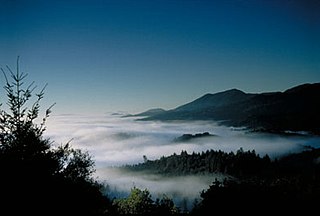 <span class="mw-page-title-main">Spring Mountain District AVA</span> American Viticultural Area in California, United States