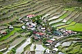 Rijstterrassen bij Banaue