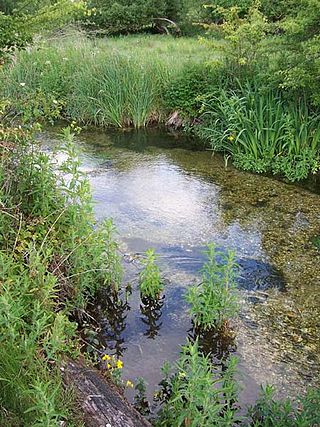 <span class="mw-page-title-main">Chalk stream</span> Rivers that rise from springs in landscapes with chalk bedrock