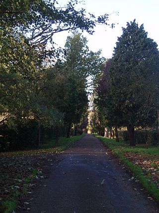 <span class="mw-page-title-main">Driveway</span> Type of private road for local access to one or a small group of structures