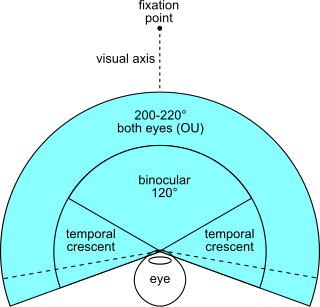 <span class="mw-page-title-main">Field of view</span> Extent of the observable world seen at any given moment