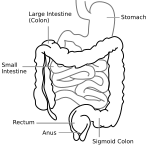 صورة SVG جديدة