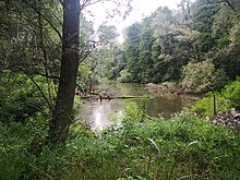 Una lanca del Po a Nord-Ovest di Carmagnola.