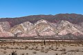 Parc national Los Cardones