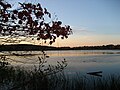 Image 25The Westborough Reservoir (Mill Pond) in Westborough, Massachusetts (from Nature)