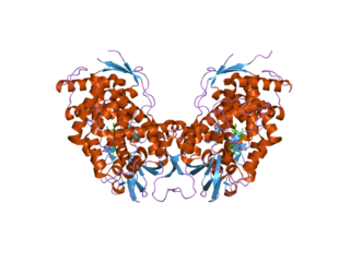 <span class="mw-page-title-main">Cholesterol 7 alpha-hydroxylase</span> Protein-coding gene in the species Homo sapiens