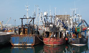 Portavogie harbour.jpg