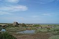 Photo de la baie de l'Aiguillon avec des zones de sansoires (salicorne), un petit bassin empli d'eau et une construction ancienne en béton ressemblant à un bunker.