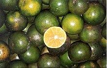 Bintangor is notable for its production of green lime, notably called the Bintangor Lime. Sarawak (2260068113).jpg