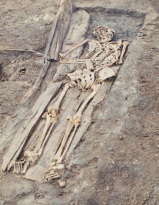 <span class="mw-page-title-main">Medieval bioarchaeology</span> Study of human remains recovered from medieval archaeological sites