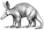 Aardvark2 (PSF).png