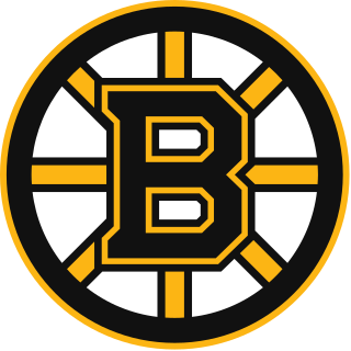 <span class="mw-page-title-main">Boston Bruins</span> National Hockey League team in Boston, Massachusetts