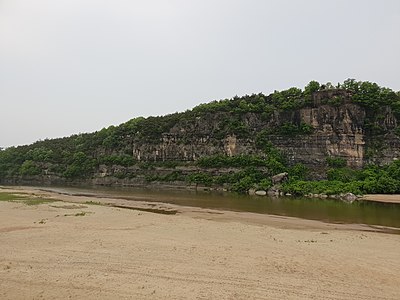 만송정에서 바라본 부용대. 절벽의 암석은 지질학적으로 경상 누층군 일직층에 해당한다.