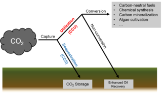 Carbon capture and utilization