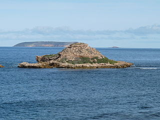 <span class="mw-page-title-main">Chinamans Hat Island</span> Island in South Australia