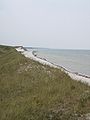 The "High Dune" of peninsula Zingst