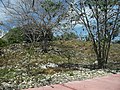 Ixil, Yucatán.