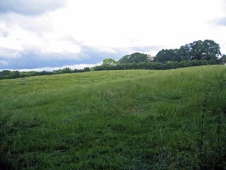 <span class="mw-page-title-main">Kelsborrow Castle</span> Iron Age hillfort in Cheshire, England