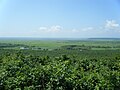 Kushiro Wetland 釧路湿原