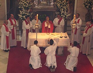 <span class="mw-page-title-main">Latin liturgical rites</span> Category of Catholic rites of public worship