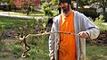 Image 34Snake coiled on a stick in Oklahoma. It was brumating in a large pile of wood chips, found by this landscaper after he bulldozed the pile in late autumn 2018. (from Snake)