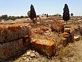 View of Banasa ruins