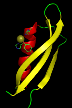 The metal-binding domain of APP with a bound copper ion. The side chains of the two histidine and one tyrosine residues that play a role in metal coordination are shown in the Cu(I) bound, Cu(II) bound, and unbound conformations, which differ by only small changes in orientation. 2fjz app.png