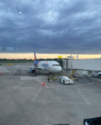 Allegiant Airbus A320.png