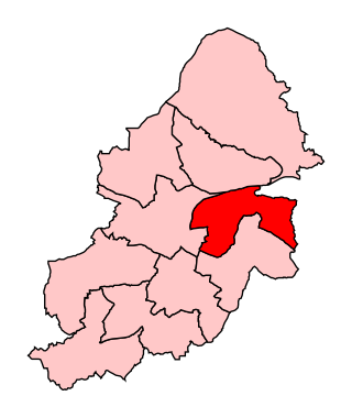 <span class="mw-page-title-main">Birmingham Hodge Hill (UK Parliament constituency)</span> Parliamentary constituency in the United Kingdom, 1983–2024