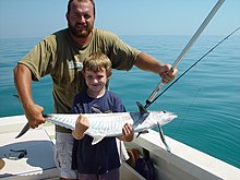 Young angler with an average-sized Spanish mackerel off Darwin, Northern Territory BoyWithScomberomorus commerson.jpg