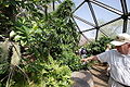 Butterfly zoo ("Monsanto Insectarium") at Saint Louis Zoo.