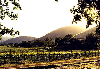 <span class="mw-page-title-main">Calistoga AVA</span> Designated wine grape-growing region in the United States