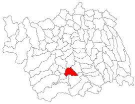 Location in Bacău County