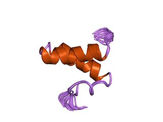 <span class="mw-page-title-main">Sda protein domain</span>