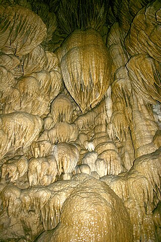 <span class="mw-page-title-main">Oregon Caves National Monument and Preserve</span> National monument in Oregon, United States