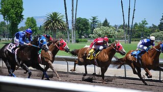 <span class="mw-page-title-main">Alameda County Fairgrounds</span> Fairground in Pleasanton, California, U.S.