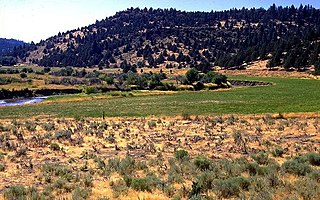 <span class="mw-page-title-main">Modoc County, California</span> County in California, United States