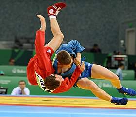 Sambo aux Jeux européens de 2015