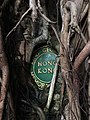 The roots of an old banyan tree covering a wall and a plaque